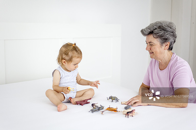 祖母和女婴玩耍玩具动物图片素材