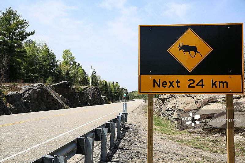 驼鹿标志图片素材