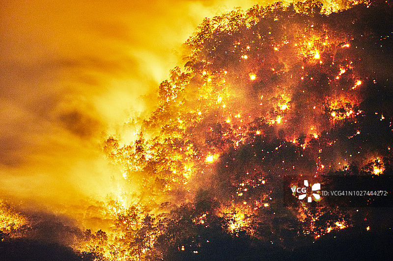 澳大利亚蓝山山谷中火灾、森林火灾、丛林大火鸟瞰图片素材