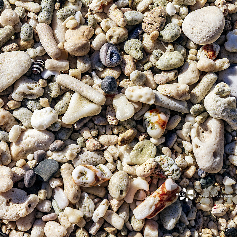 菲律宾棉兰老岛的珊瑚碎片图片素材