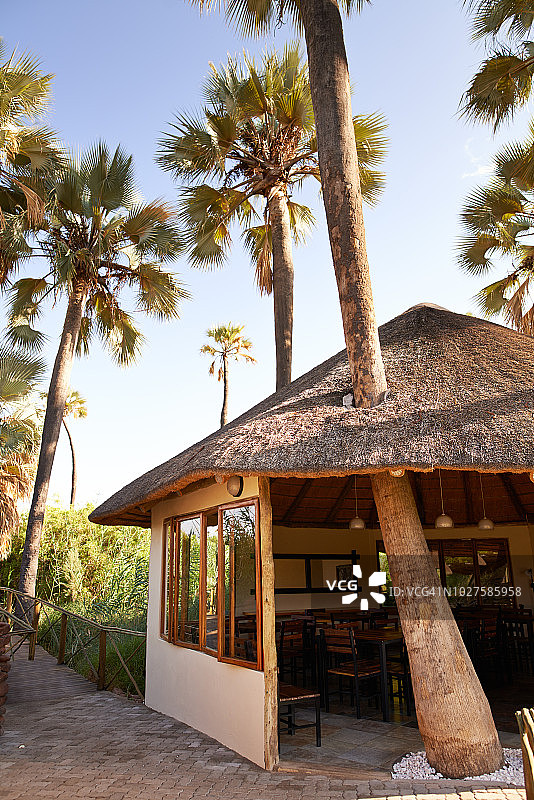 这里的树木生机勃勃图片素材