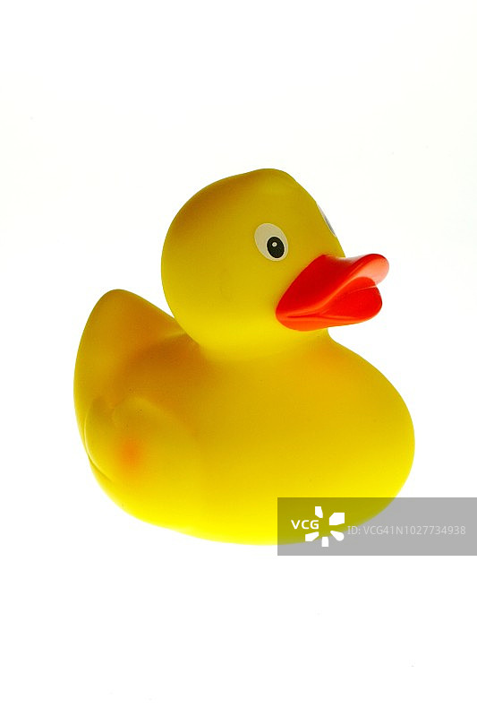 白色背景上的黄色橡皮鸭玩具图片素材