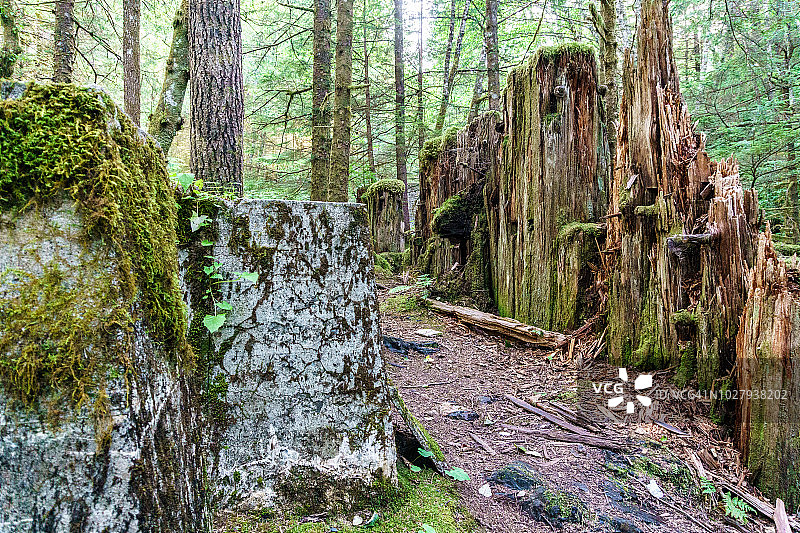 特雷德韦尔矿遗址图片素材