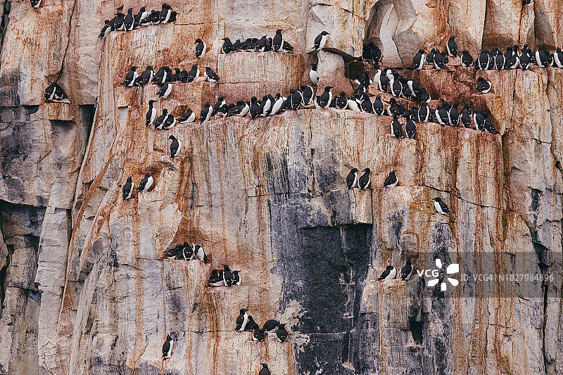 Alkefjellet图片素材