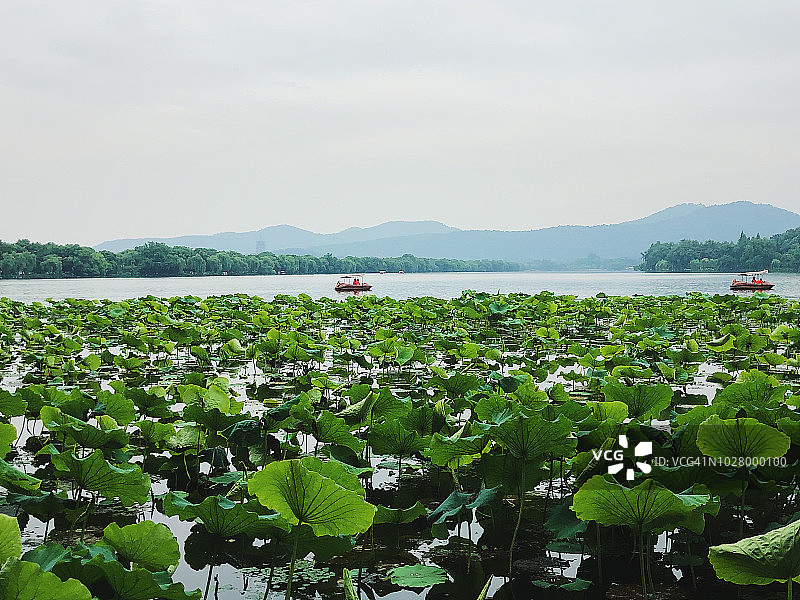 杭州西湖图片素材