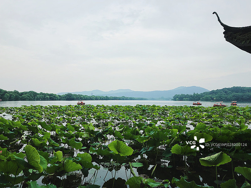 杭州西湖图片素材