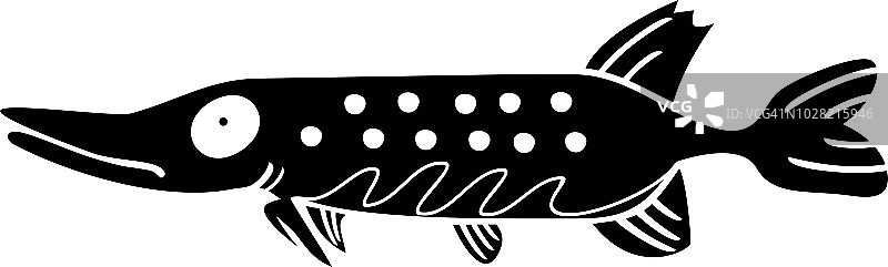 梭子鱼的轮廓图片素材