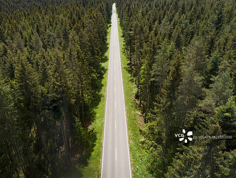 穿过森林的笔直道路图片素材