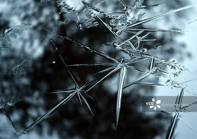 冰雕艺术图片素材
