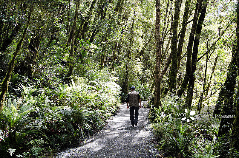 户外徒步的活力老年男性图片素材