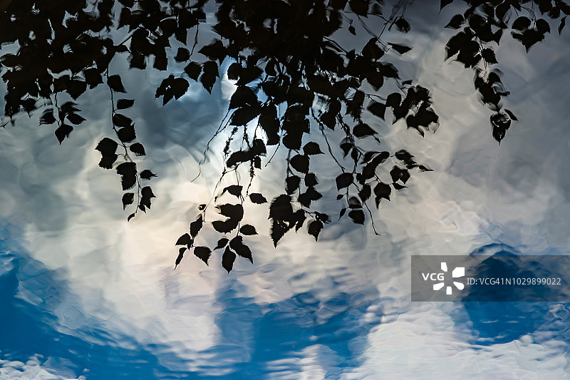 森林湖泊平静水面中树木倒影的对称之美，自然的清新图片素材