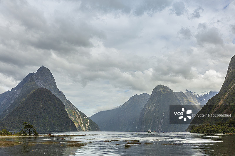 新西兰米尔福德峡湾图片素材