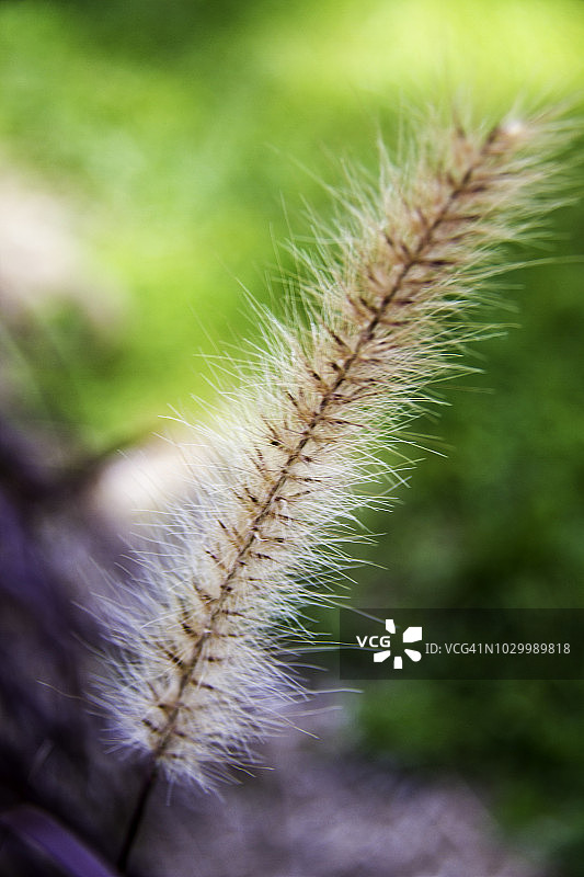 优美的宇宙神景观图片素材