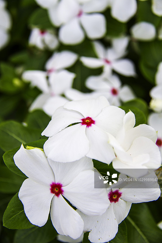 优美的宇宙神景观图片素材