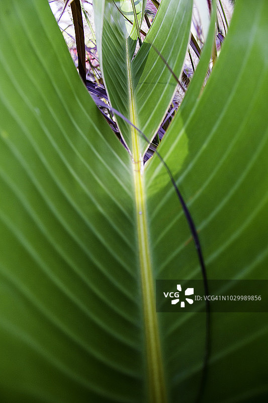 优美的宇宙神景观图片素材
