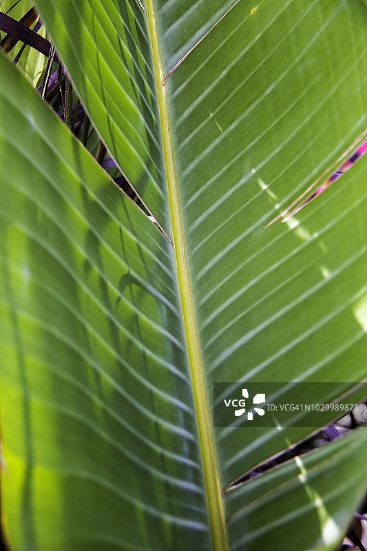 优美的宇宙神景观图片素材