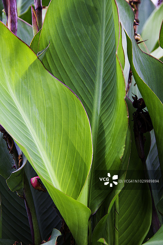 优美的宇宙神景观图片素材