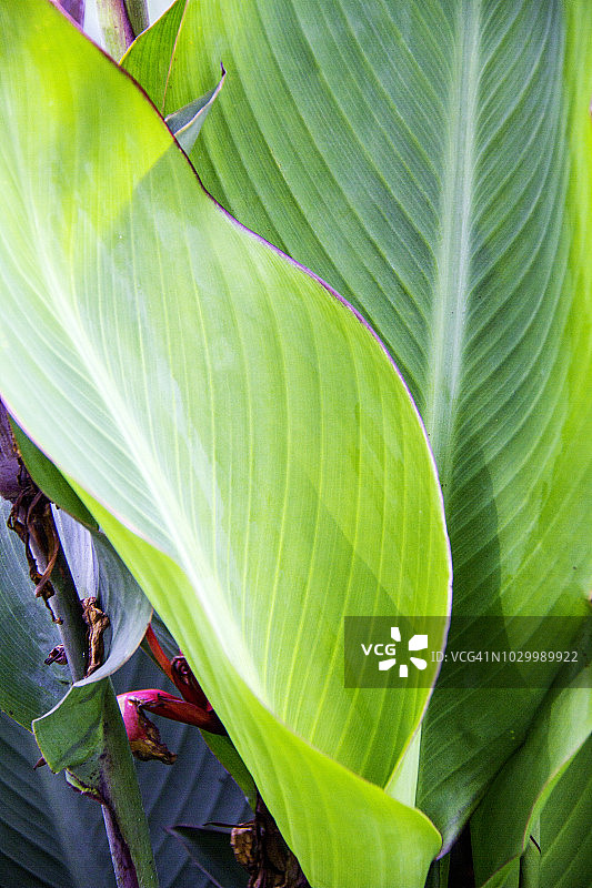 优美的宇宙神景观图片素材