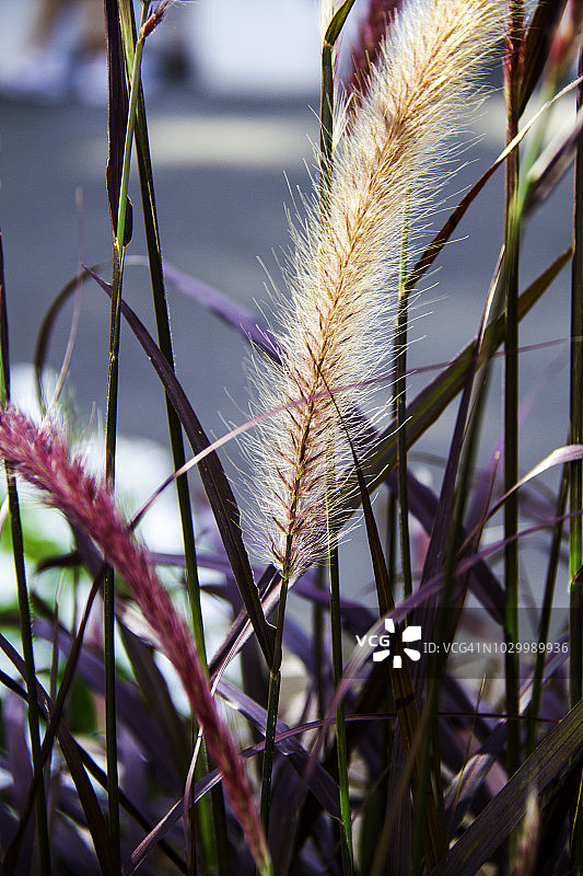 优美的宇宙神景观图片素材