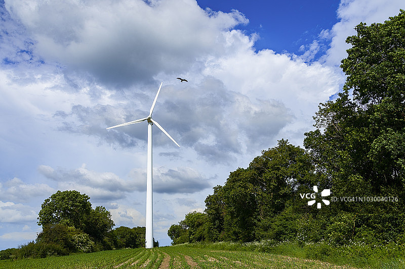 风力涡轮机与盘旋的鹰图片素材