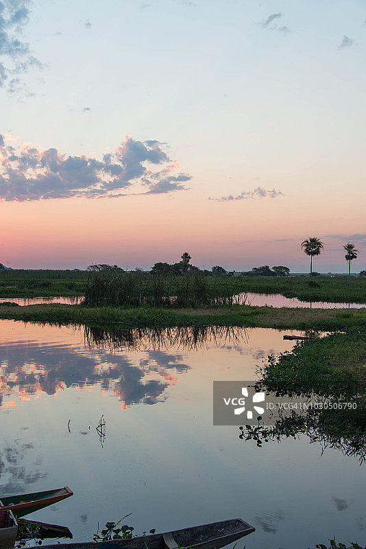 巴西马托格罗索州潘塔纳尔图片素材
