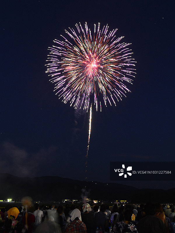 伊势神宫烟花节：绽放的烟花，如花般绚烂图片素材