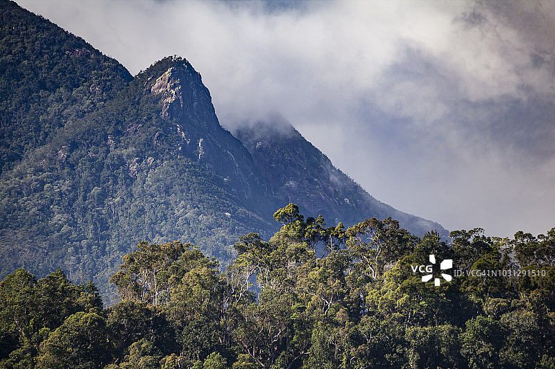 欣钦布鲁克岛国家公园图片素材