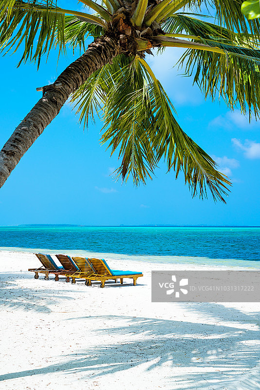 马尔代夫热带天堂海滩的棕榈树和日光浴床图片素材