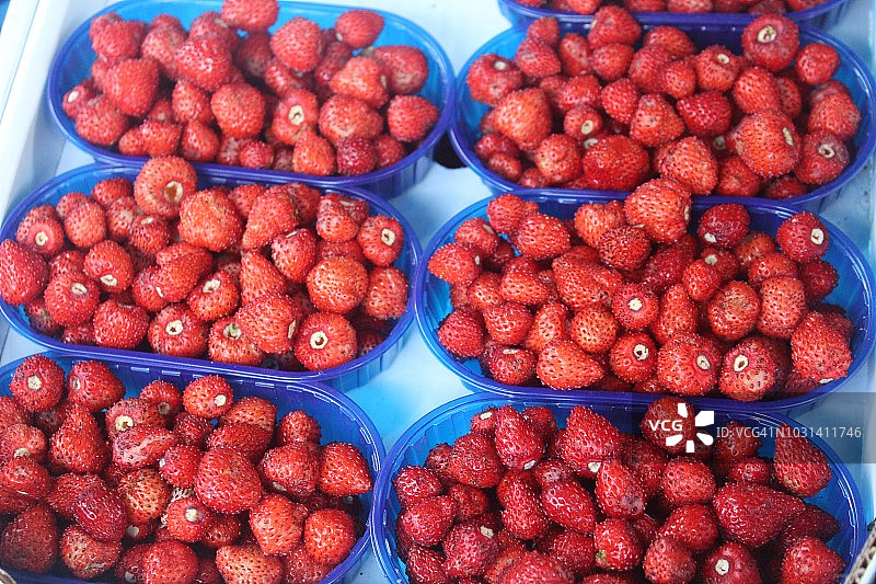 卡塔尼亚鱼市出售的野生草莓图片素材
