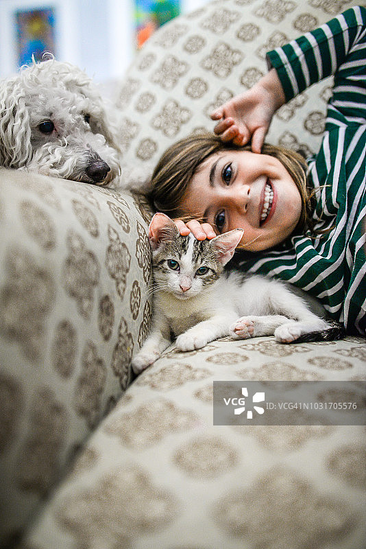 幼猫和孩子图片素材