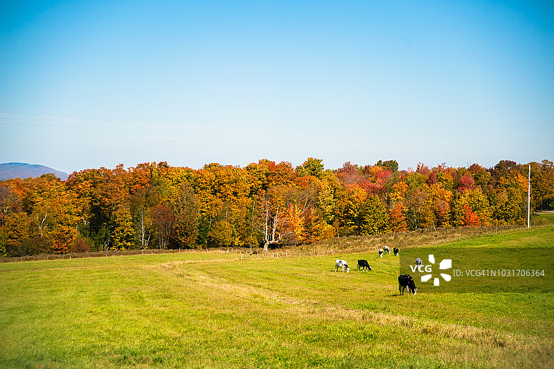 阿巴拉契亚山脉图片素材