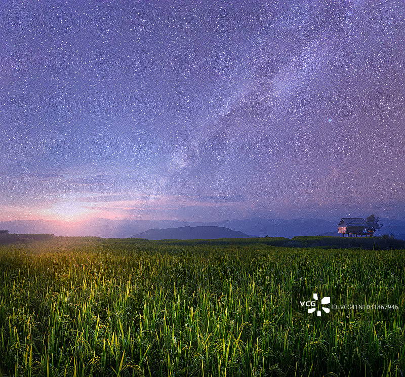 清迈夜间稻田图片素材