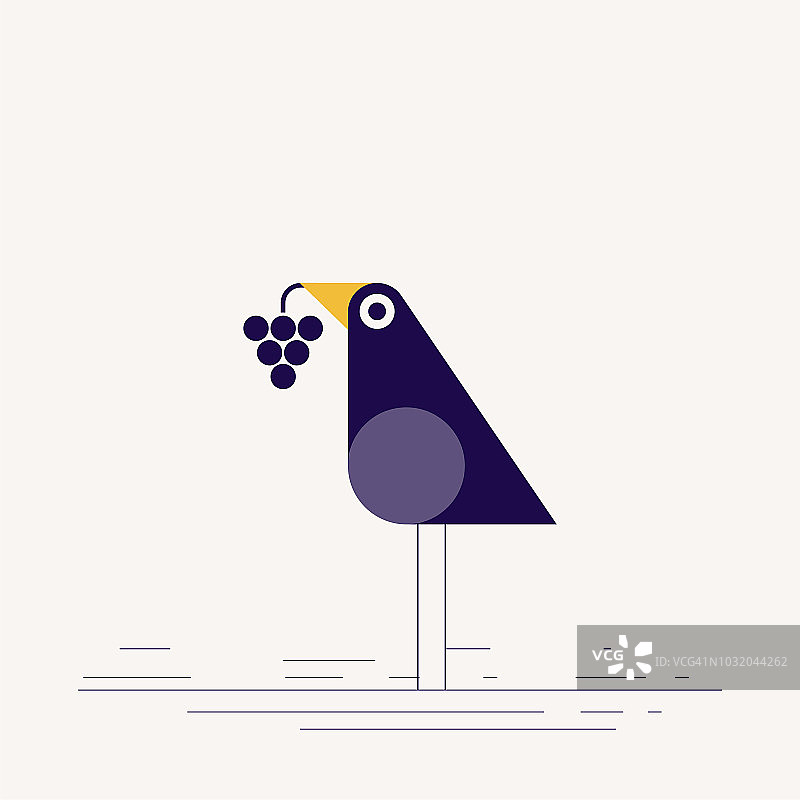 叼着葡萄的鸟图片素材