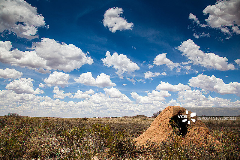 南非金伯利附近，北开普省干旱贫瘠的景观被土豚挖掘的蚁丘覆盖图片素材