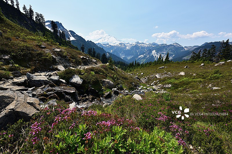 贝克山-斯诺夸尔米国家森林的安湖小径，华盛顿州图片素材