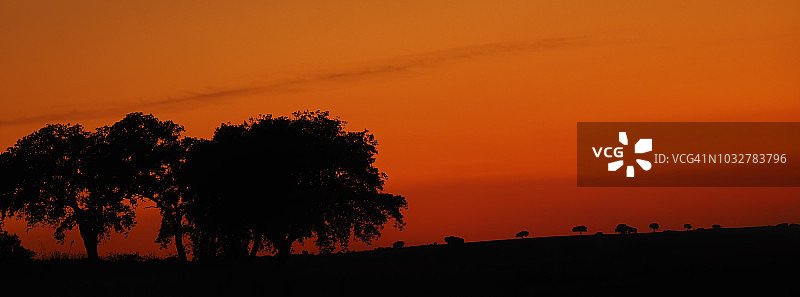 橙色的日落图片素材