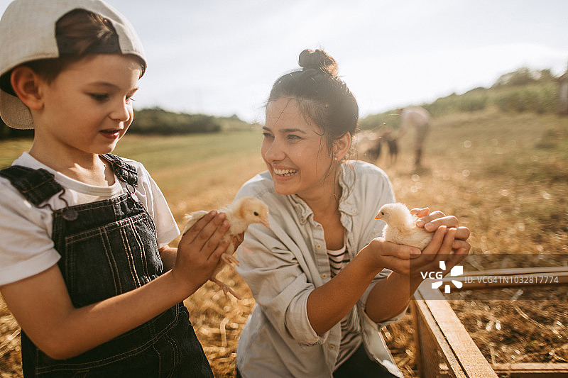我在家庭农场的童年时光图片素材