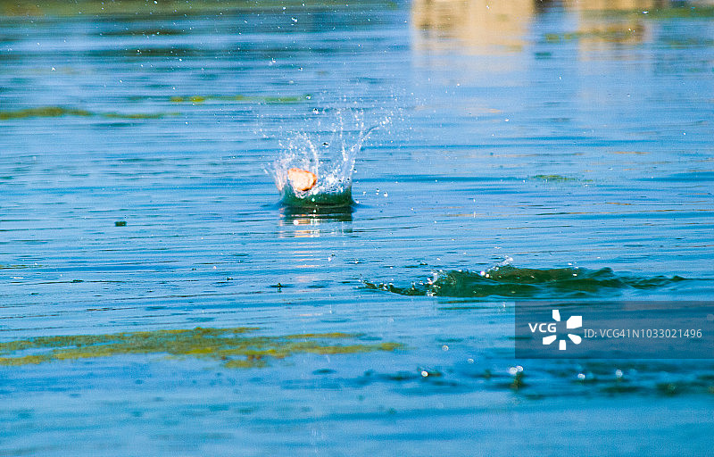 在海滩上打水漂图片素材