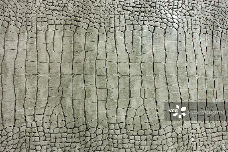 鳄鱼皮背景图片素材