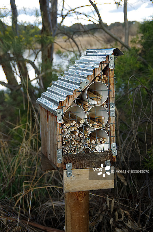 澳大利亚首都直辖区杰拉邦贝拉湿地自然保护区的昆虫旅馆图片素材