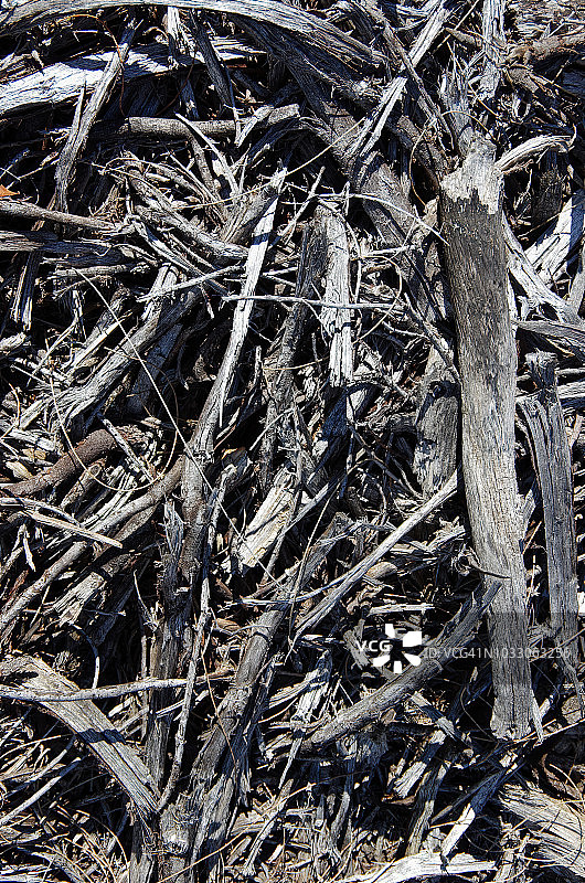 铺在地上的枯树枝、树杈和树皮图片素材