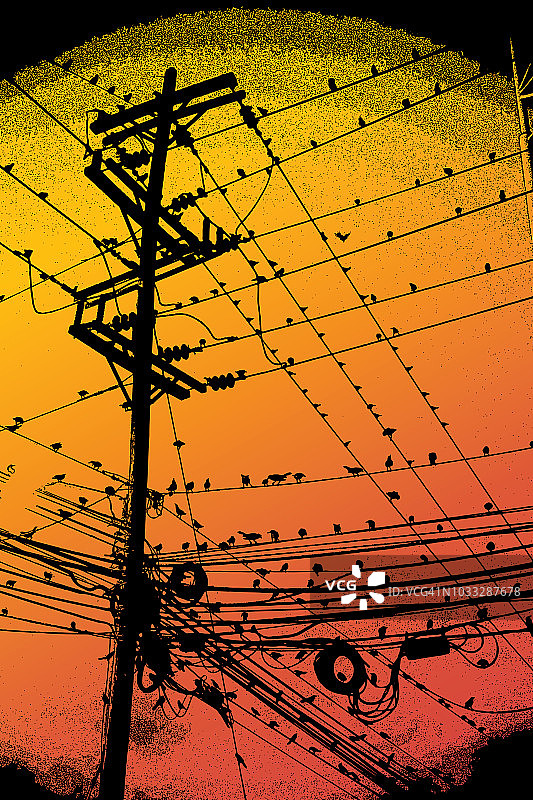 栖息在电话线上的大群鸟图片素材