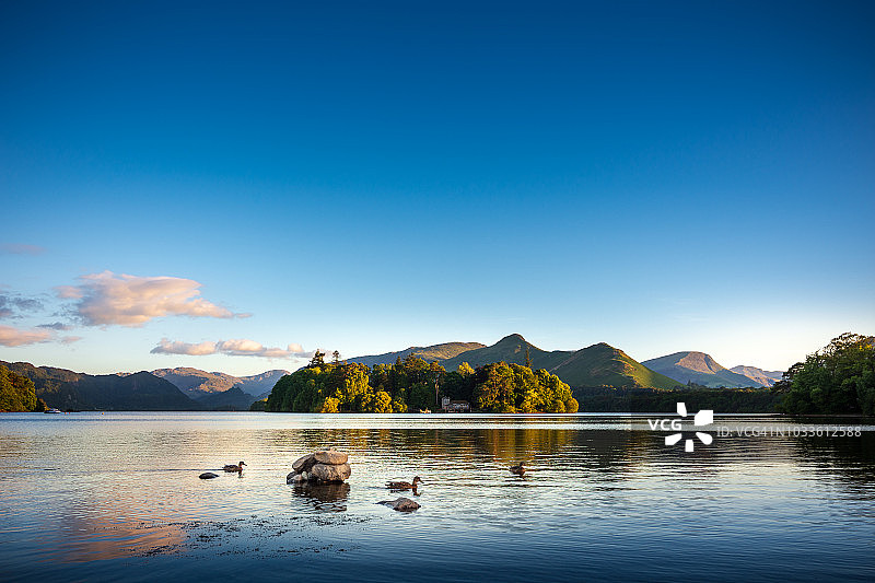 在英国凯西克附近的德温特湖上游泳的鸭子图片素材