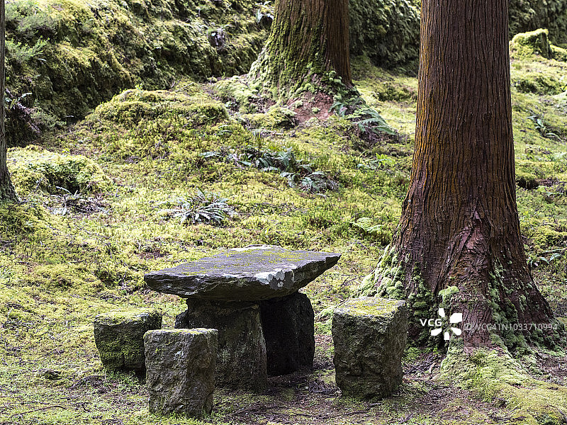 特塞拉岛亚速尔群岛湿润森林中的野餐石桌和石凳图片素材