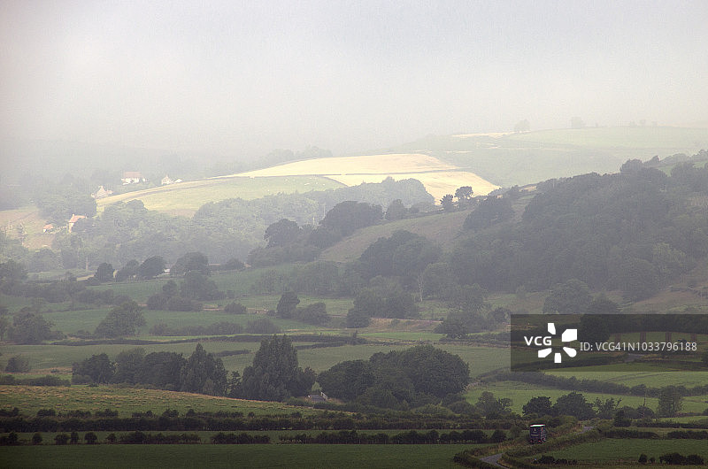 雾气沼泽图片素材