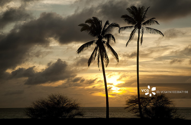 帕波哈库海滩的椰子树和日落美景图片素材