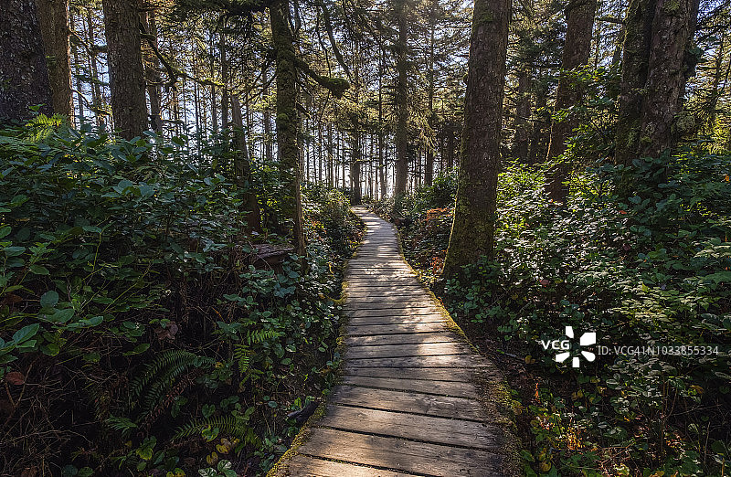 温哥华岛西海岸太平洋沿岸国家公园长滩木栈道图片素材