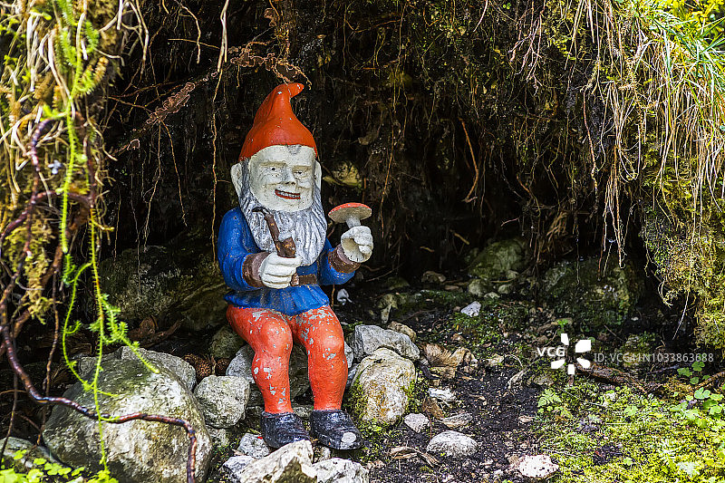 洞穴里拿着毒菌蘑菇的彩色小胡子侏儒图片素材