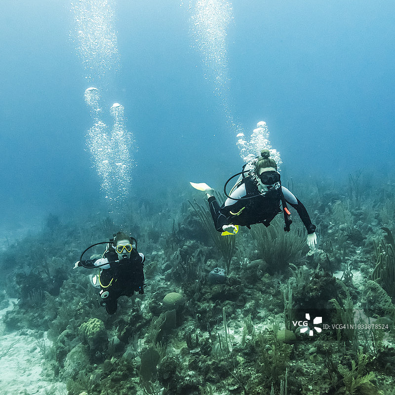 伯利兹堡礁乔氏墙潜水点的水肺潜水员图片素材