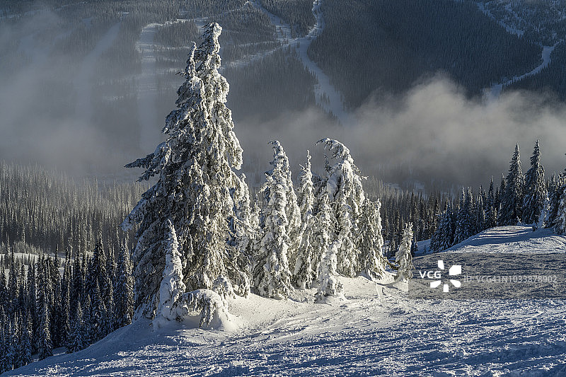 滑雪胜地雪山上的冰霜针叶树图片素材
